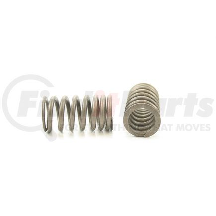 RV14424 by PIONEER - VALVE SPRING