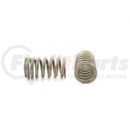 RV14434 by PIONEER - VALVE SPRING