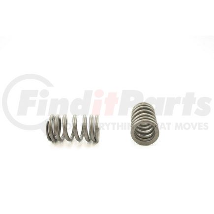 RV14404 by PIONEER - VALVE SPRING