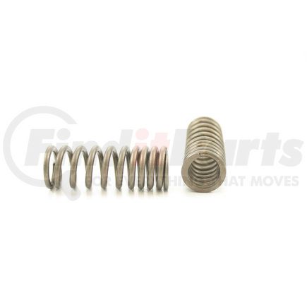 RV14484 by PIONEER - VALVE SPRING