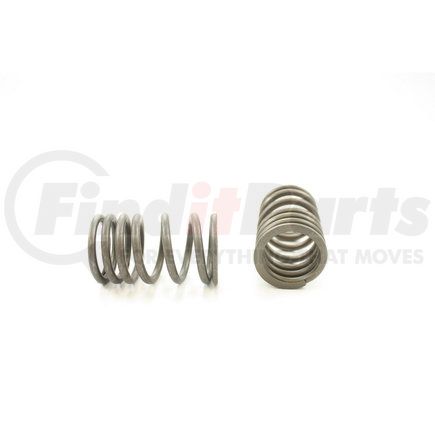 RV14444 by PIONEER - VALVE SPRING