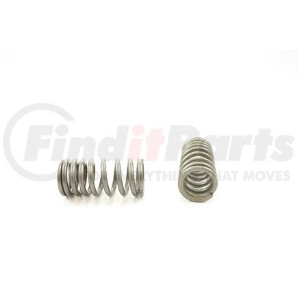 RV14524 by PIONEER - VALVE SPRING