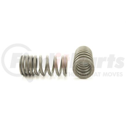 RV14534 by PIONEER - VALVE SPRING