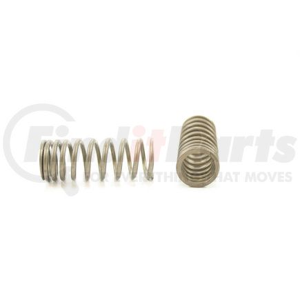 RV14544 by PIONEER - VALVE SPRING