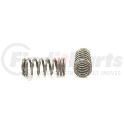 RV14504 by PIONEER - VALVE SPRING