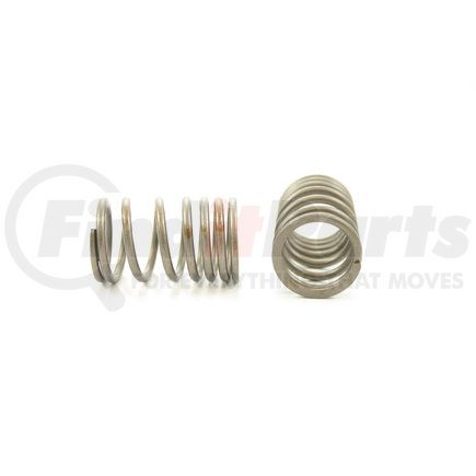 RV14564 by PIONEER - VALVE SPRING