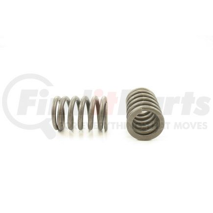 RV15034 by PIONEER - VALVE SPRING