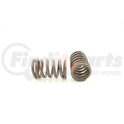 RV15224 by PIONEER - VALVE SPRING