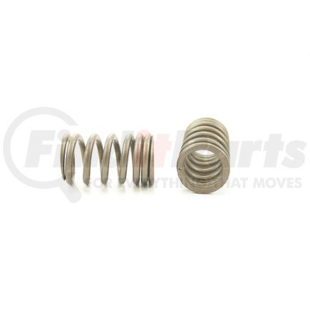 RV14704 by PIONEER - VALVE SPRING