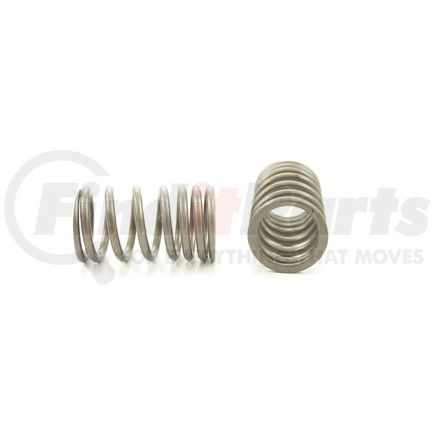 RV14714 by PIONEER - VALVE SPRING