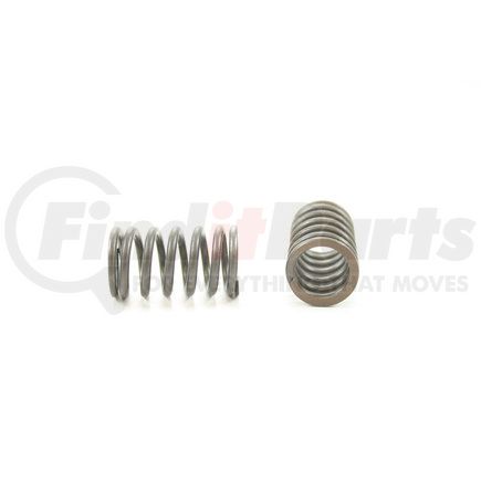 RV15494 by PIONEER - VALVE SPRING