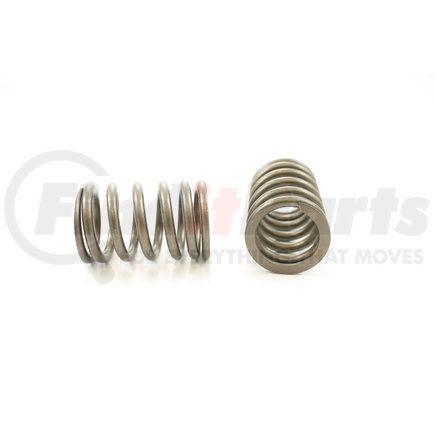 RV15304 by PIONEER - VALVE SPRING