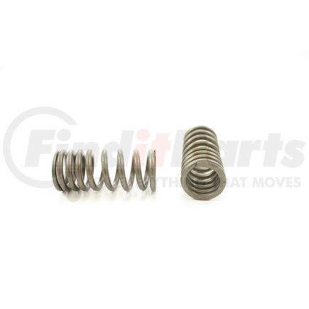 RV15344 by PIONEER - VALVE SPRING