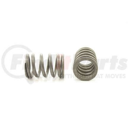 RV15554 by PIONEER - VALVE SPRING