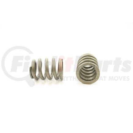 RV15584 by PIONEER - VALVE SPRING