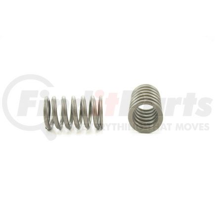 RV15504 by PIONEER - VALVE SPRING