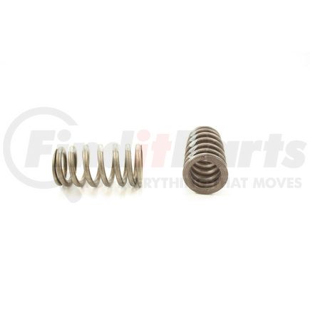 RV1615100 by PIONEER - VALVE SPRINGS