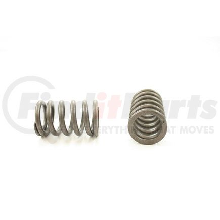 RV1680100 by PIONEER - VALVE SPRING