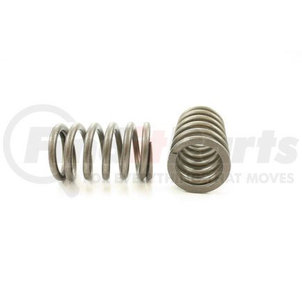 RV219100 by PIONEER - VALVE SPRING