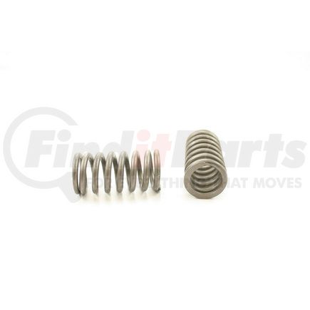 RV1710100 by PIONEER - VALVE SPRING