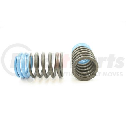 RV220B4 by PIONEER - VALVE SPRING