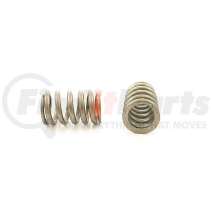 RV2222100 by PIONEER - VALVE SPRING