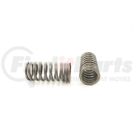 RV221B100 by PIONEER - VALVE SPRING