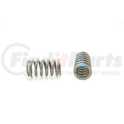 RV22304 by PIONEER - VALVE SPRING