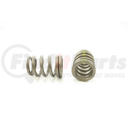 RV2232100 by PIONEER - VALVE SPRING