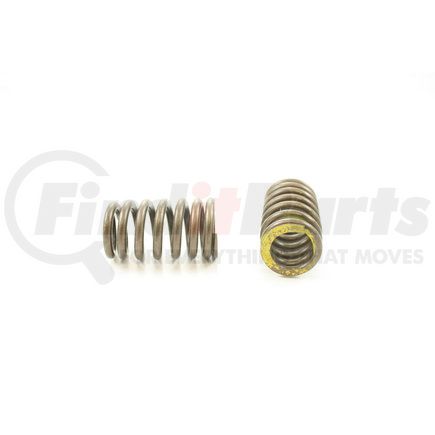 RV2223100 by PIONEER - VALVE SPRING