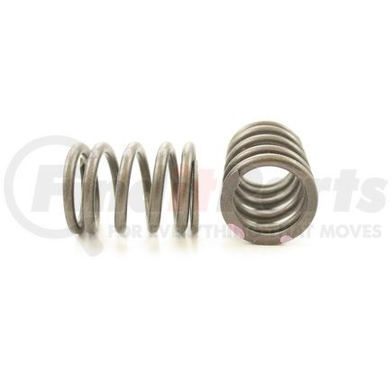RV2240B100 by PIONEER - VALVE SPRING OUTER
