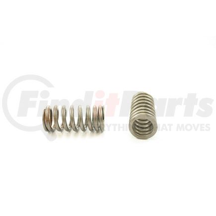 RV2400100 by PIONEER - VALVE SPRING