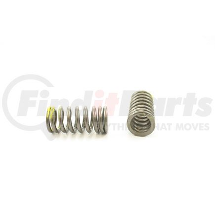 RV2404100 by PIONEER - VALVE SPRING