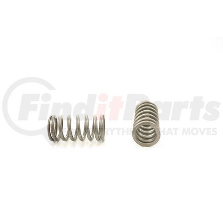 RV2451100 by PIONEER - VALVE SPRING