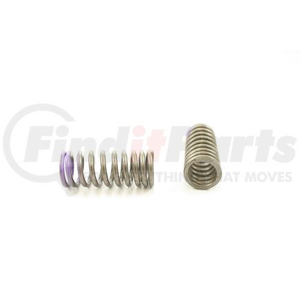 RV2412100 by PIONEER - VALVE SPRING