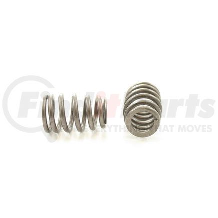 RV2461100 by PIONEER - VALVE SPRING