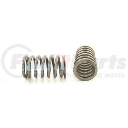 RV2470100 by PIONEER - VALVE SPRING