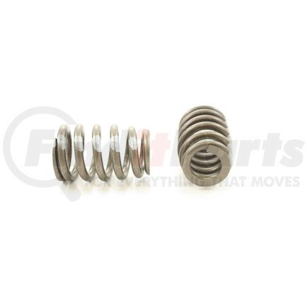 RV2460100 by PIONEER - VALVE SPRING