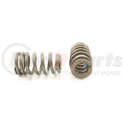 RV2480100 by PIONEER - VALVE SPRING