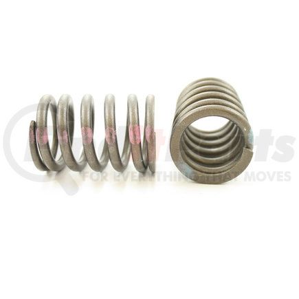 RV2471100 by PIONEER - VALVE SPRING