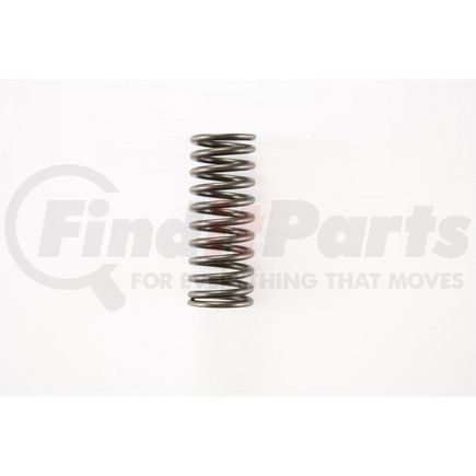 RV356100 by PIONEER - VALVE SPRING