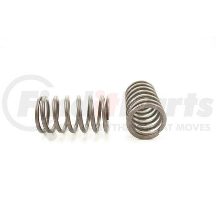 RV4144 by PIONEER - VALVE SPRING