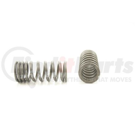 RV4974 by PIONEER - VALVE SPRING