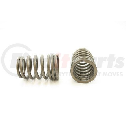 RV492100 by PIONEER - VALVE SPRING