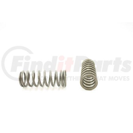 RV5004 by PIONEER - VALVE SPRING