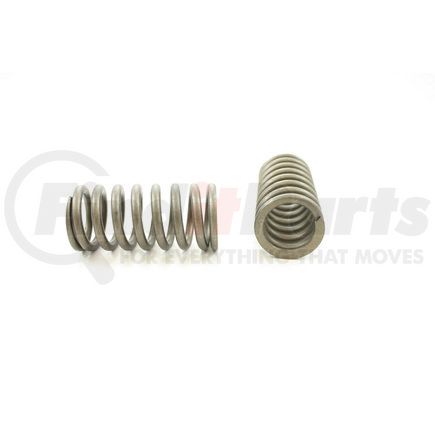 RV519100 by PIONEER - VALVE SPRING