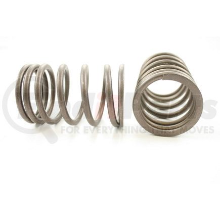 RV5444 by PIONEER - VALVE SPRING