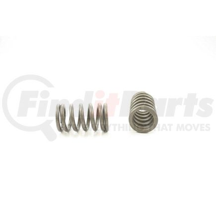 RV5754 by PIONEER - VALVE SPRING