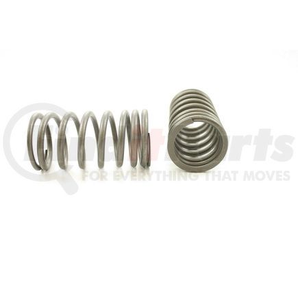 RV5454 by PIONEER - VALVE SPRING