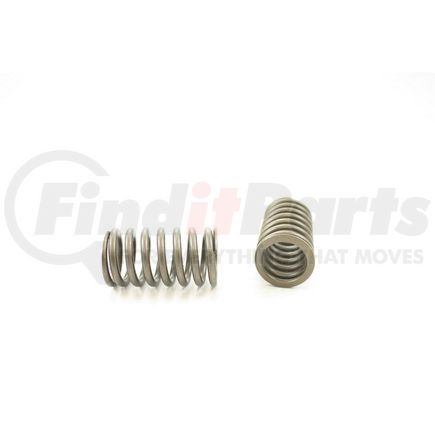 RV6024 by PIONEER - VALVE SPRING